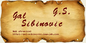 Gal Sibinović vizit kartica